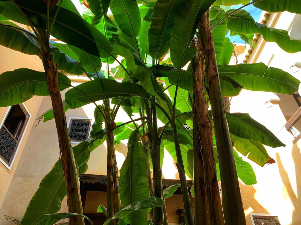 Riad Bamileke Marrakesh Ngoại thất bức ảnh