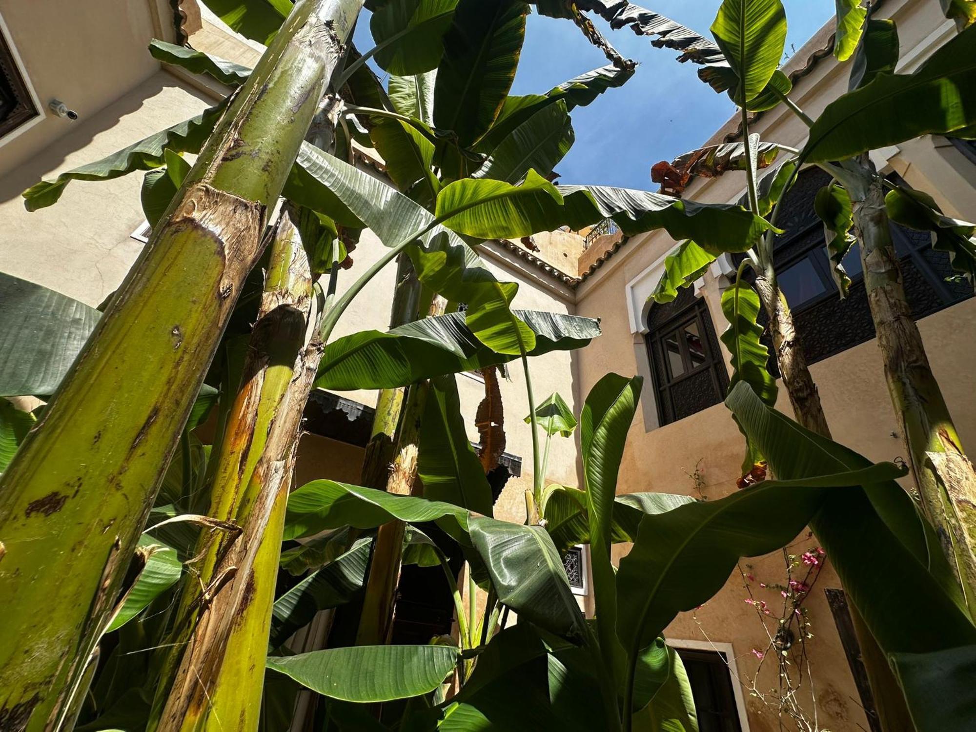 Riad Bamileke Marrakesh Ngoại thất bức ảnh
